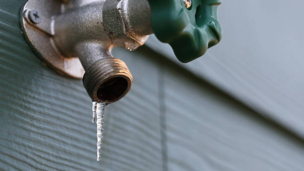 Best Drain Cleaning Services  in Browns Point, WA