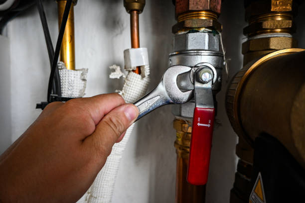 Best Plumbing Repair Near Me  in Browns Point, WA